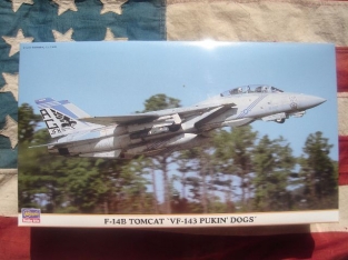 Hasegawa 00757 F-14B TOMCAT 'VF-143 Pukin 'Dogs'